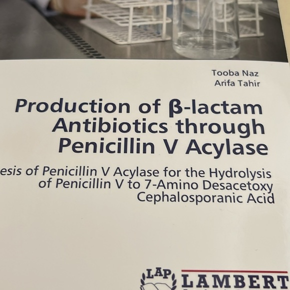 Production of b-lactam Antibiotics through Penicillin V Acylase - Picture 4 of 4